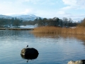 winter-lakeland